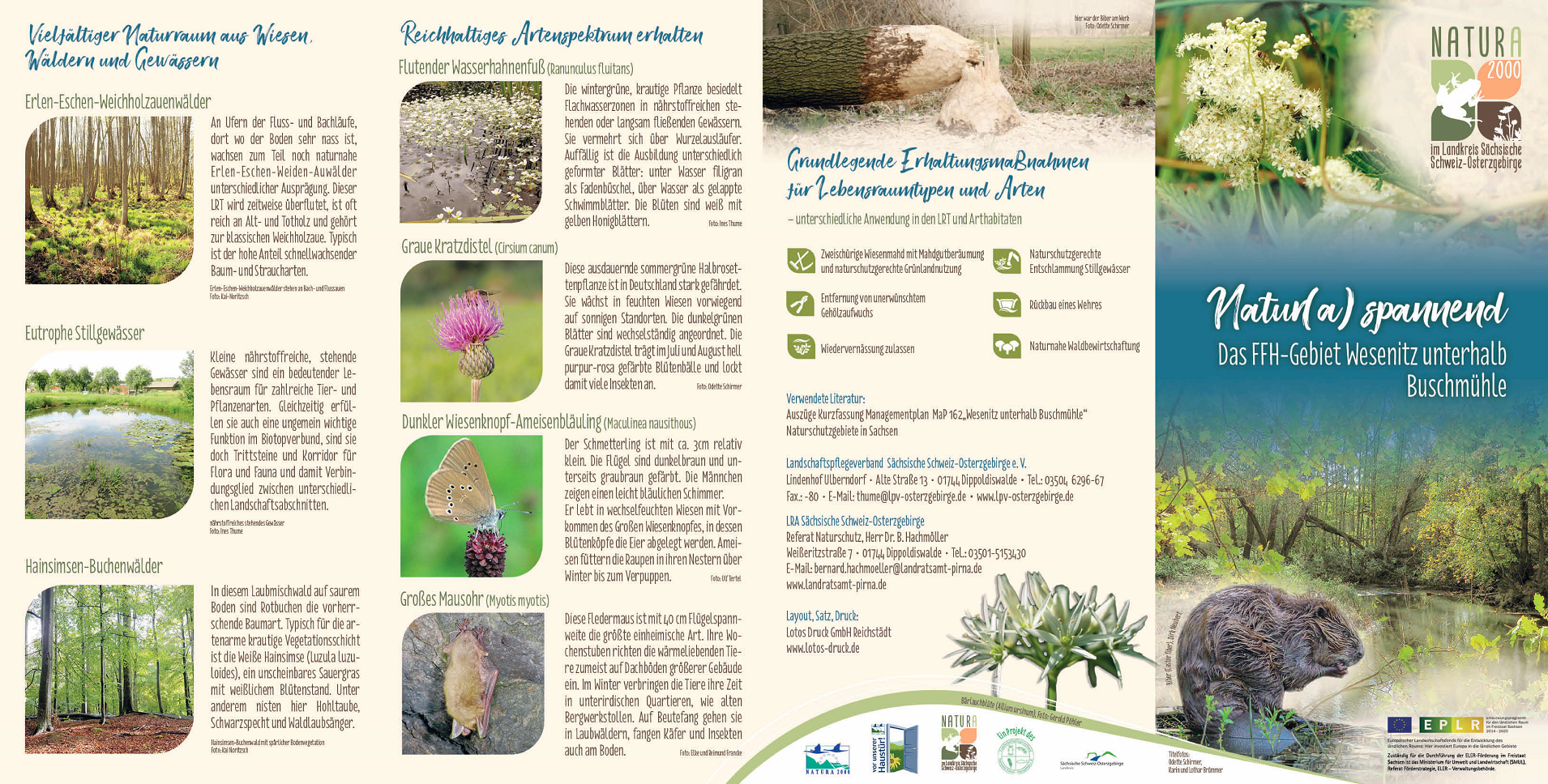 tl_files/downloads/Bilder Projekte/Projektstellen/Natura 2000 1.0/Flyer/FFH-Gebiet_Wesenitztal_1.png